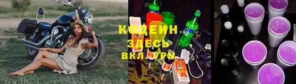 трава Пересвет