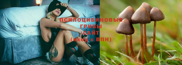 трава Пересвет