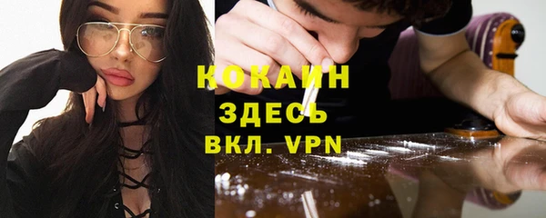 трава Пересвет