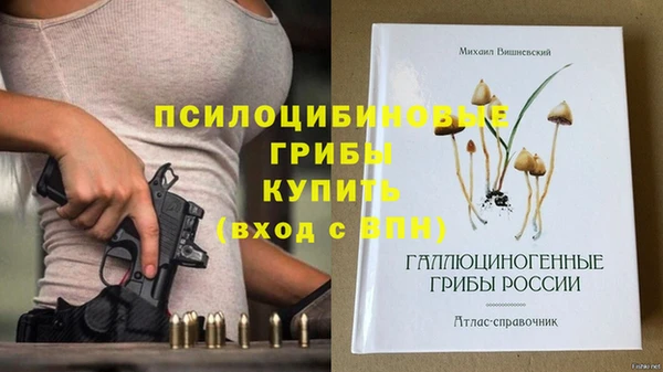 соль ск Пестово