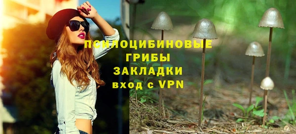 трава Пересвет