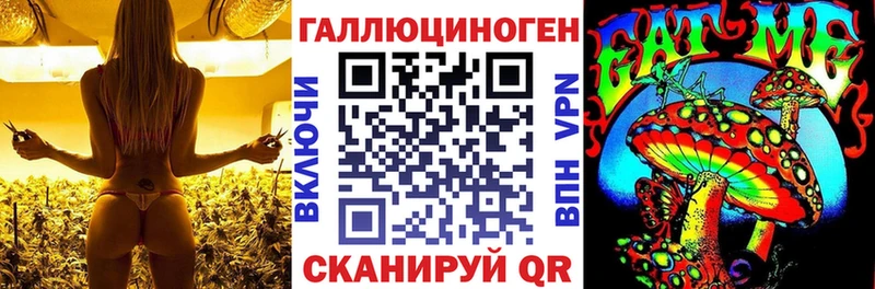 дарк нет клад Правдинск Псилоцибиновые грибы GOLDEN TEACHER